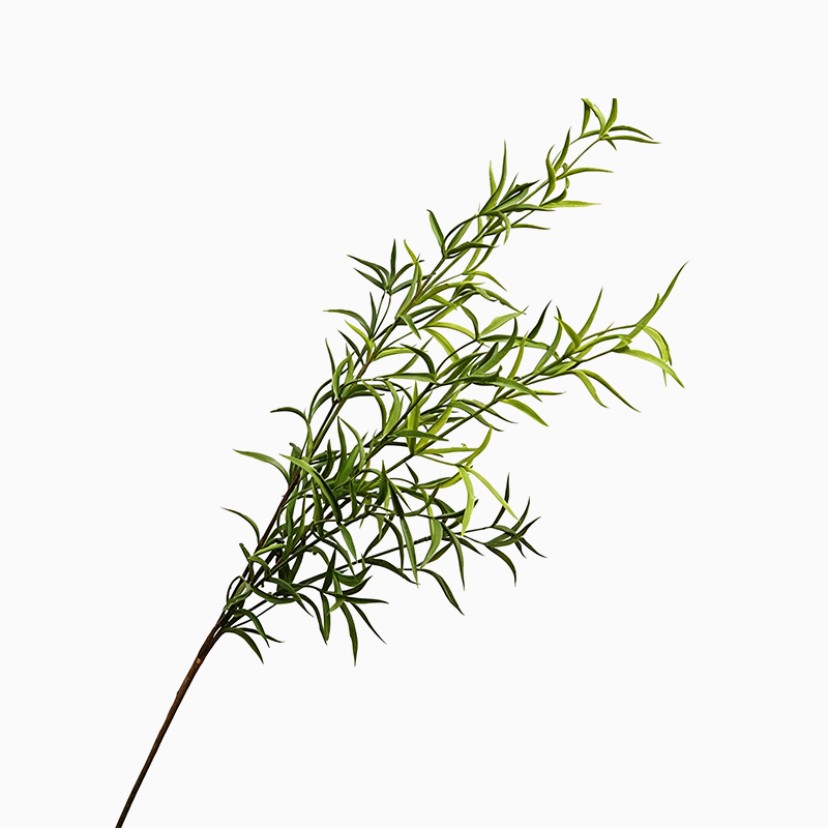 High-Simulation Artificial Rosemary Leaf Wall Decoration