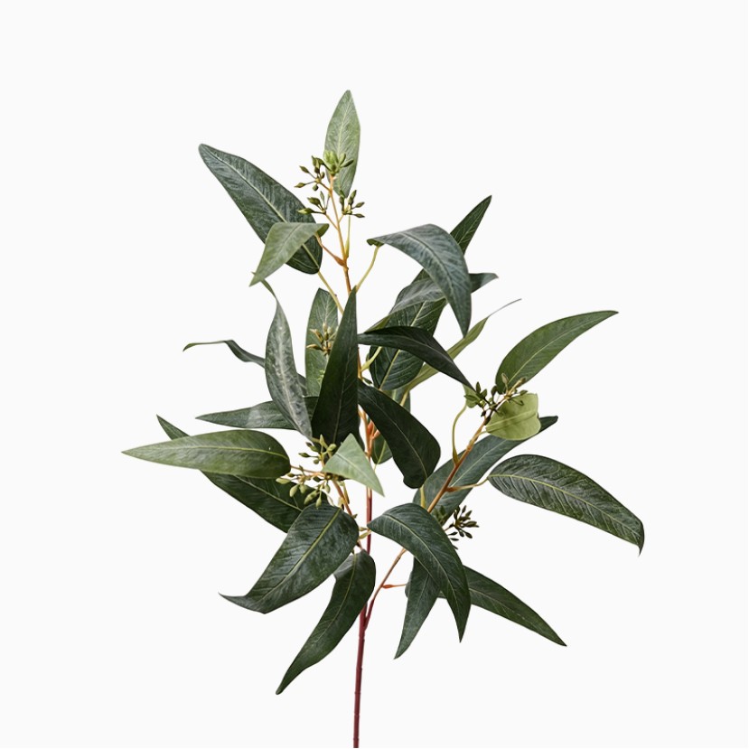 High-Quality Artificial Eucalyptus Branch and Leaf Decoration