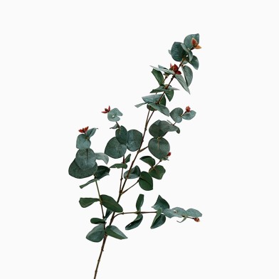 Artificial Eucalyptus Floral Arrangement with Green Stems