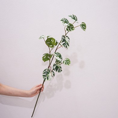 High-Quality Realistic Monstera Leaf Stem