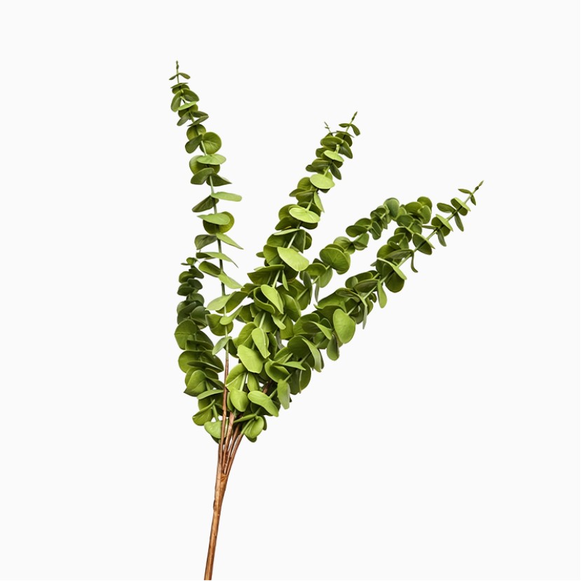 Simulated Eucalyptus Branch Home Decoration Green Plant
