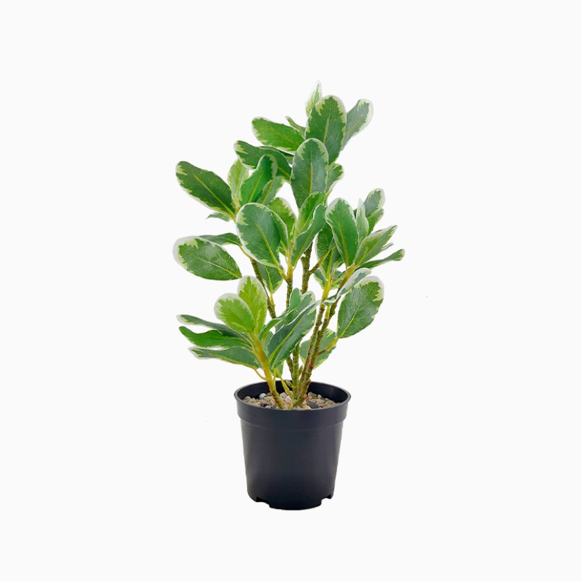 Durable Plastic Potted Simulation Green Plant