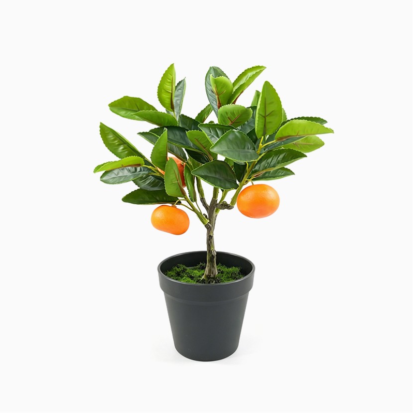 Simulated Citrus Mini Potted Plant