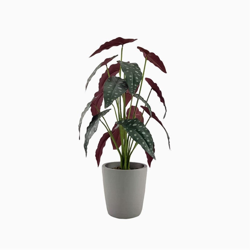 Fashion PE Artificial Grass Decorative Plant