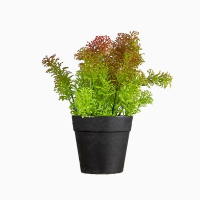 Bonsai Style Simulation Succulent Pot