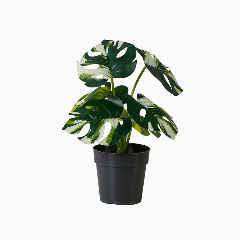 Shaped Simulation Green Plant Potted Plant