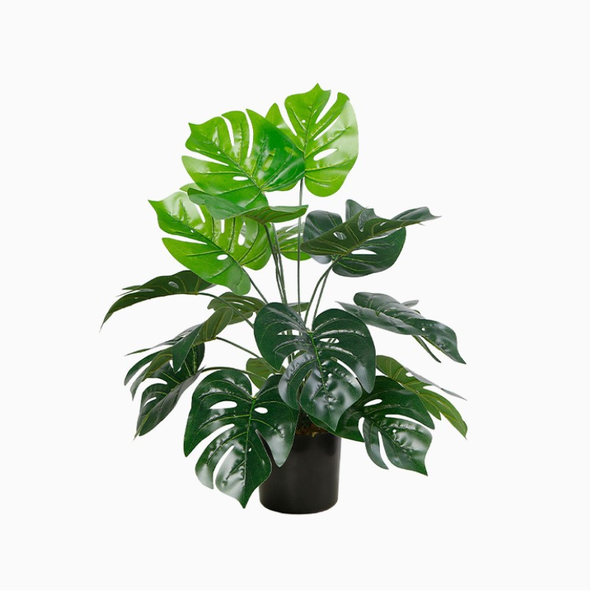 Simulated Monstera Tropical Green Plant Pot