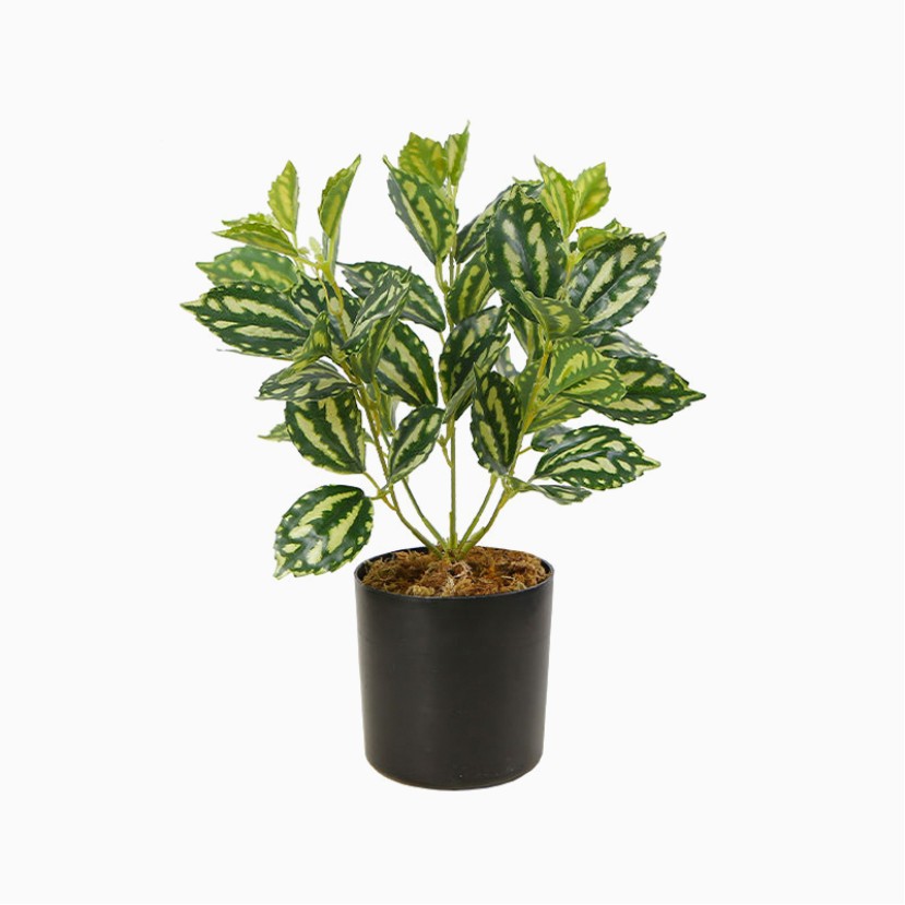 32 cm High-Fidelity Miniature Desktop Decorative Plant