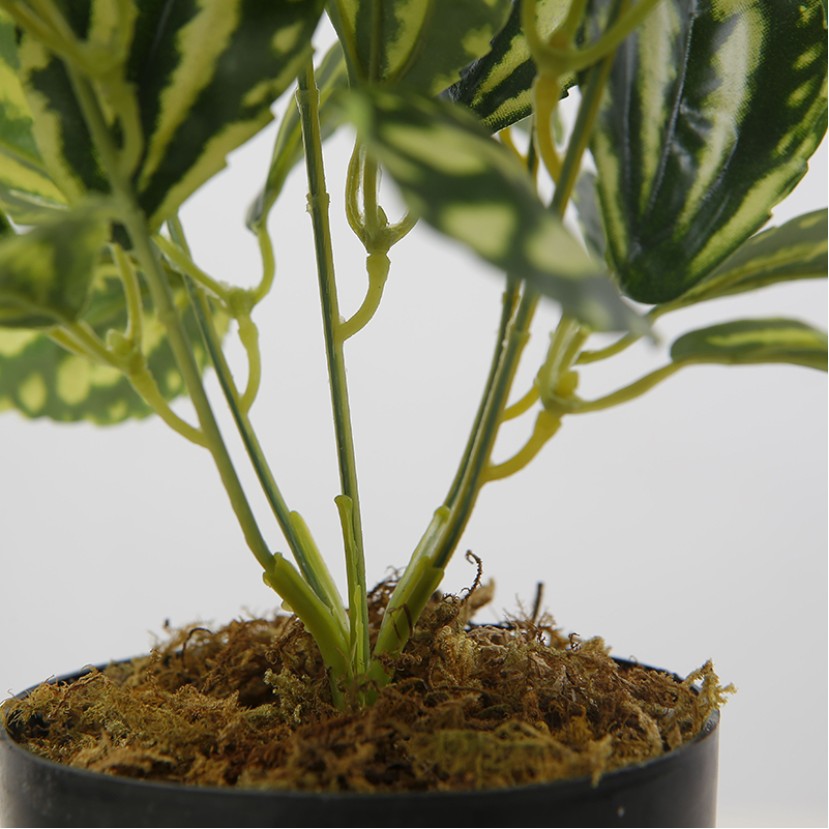 32 cm High-Fidelity Miniature Desktop Decorative Plant