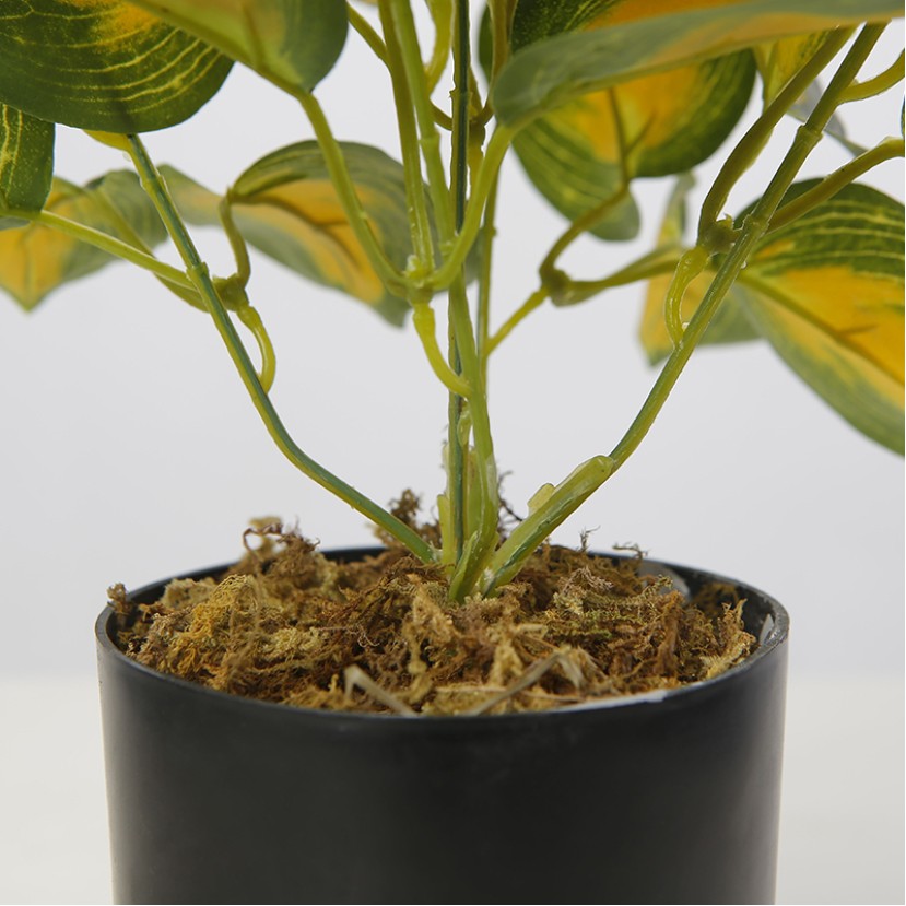 Simulation Bonsai Desktop Decorative Tree
