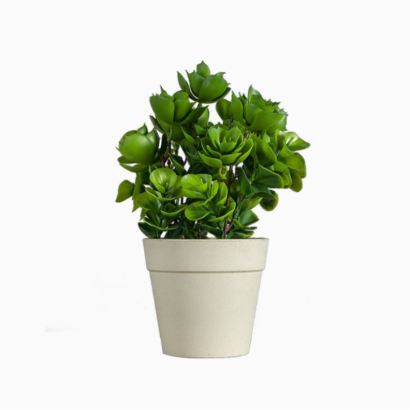 Waterproof Plastic Small Potted Plant
