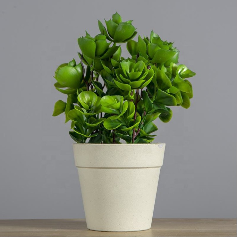 Waterproof Plastic Small Potted Plant