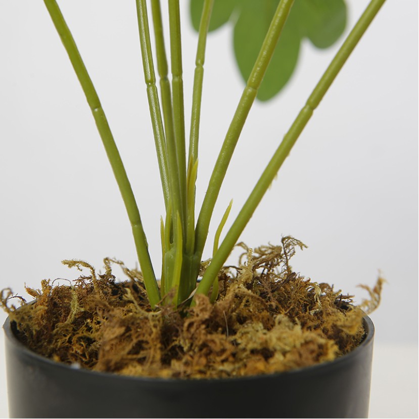 Realistic Faux Potted Desktop Greenery