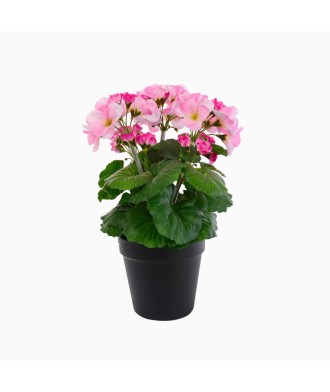 UV-Resistant Handmade Polyester Artificial Flowers