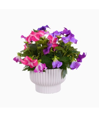 Modern Design Plastic Artificial Morning Glory Vine