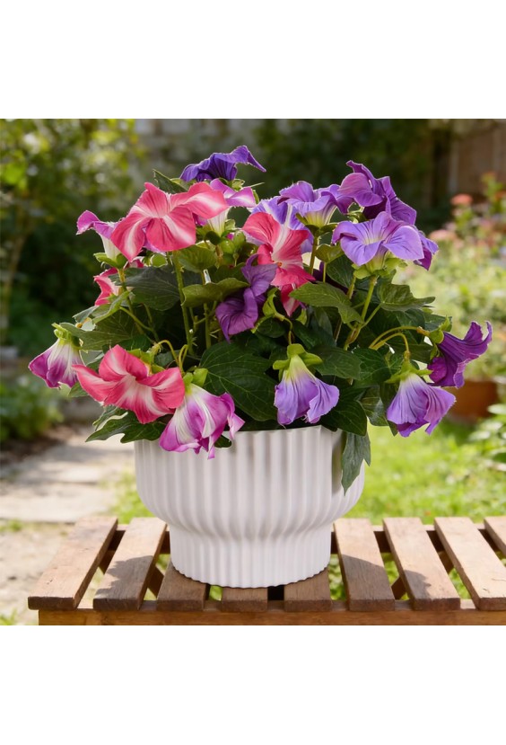 Modern Design Plastic Artificial Morning Glory Vine