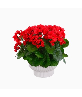 High Simulation Handmade Red Begonia Flower Decoration