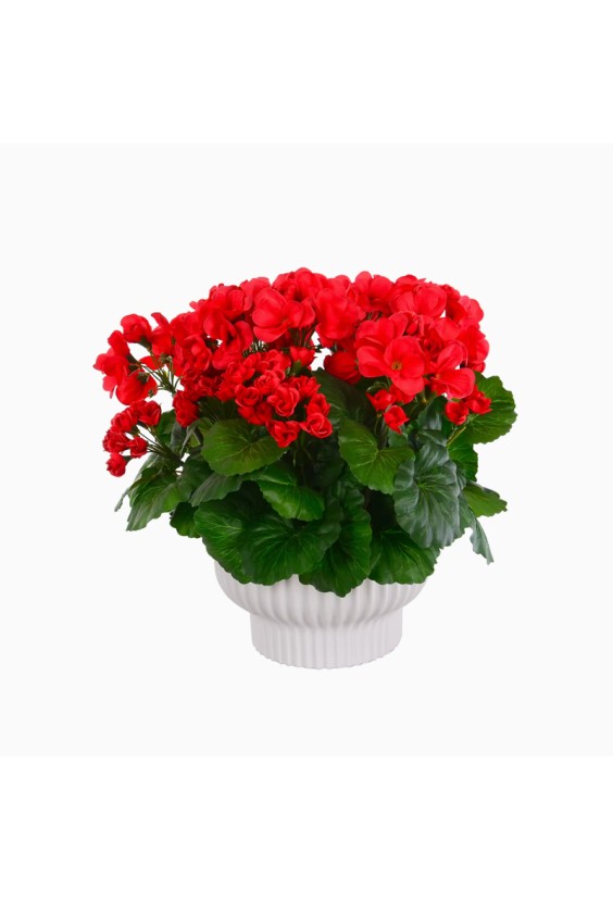 High Simulation Handmade Red Begonia Flower Decoration