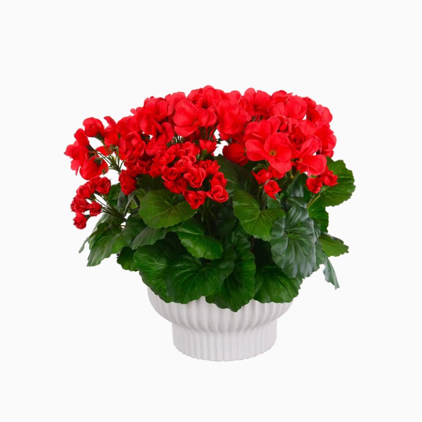 High Simulation Handmade Red Begonia Flower Decoration