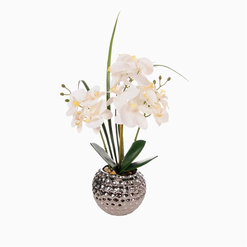 Handmade Plastic Phalaenopsis Artificial Flower