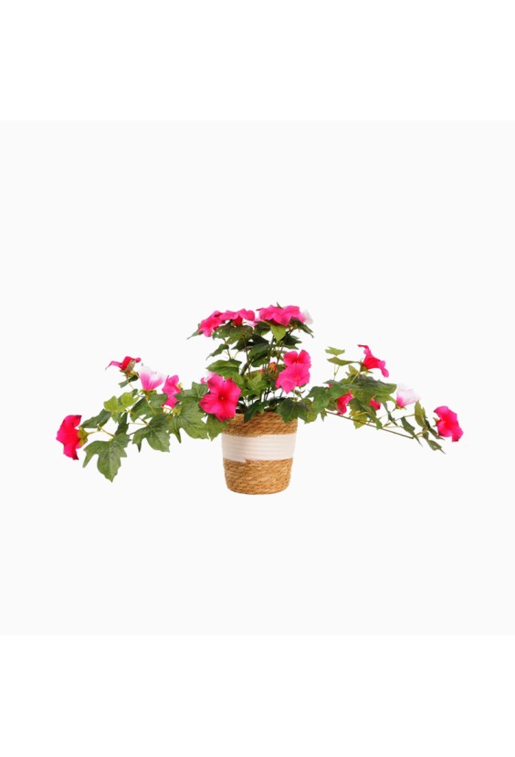 Handwoven Basket Modern Style Flower Pot