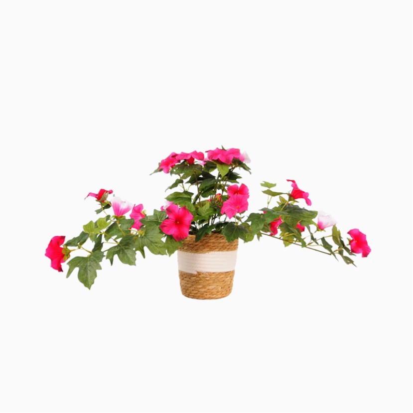 Handwoven Basket Modern Style Flower Pot