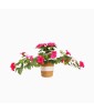 Handwoven Basket Modern Style Flower Pot
