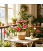 Handwoven Basket Modern Style Flower Pot