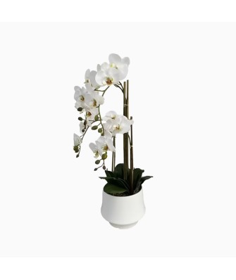 Simulated Phalaenopsis Potted Plant Indoor Decorative Flower