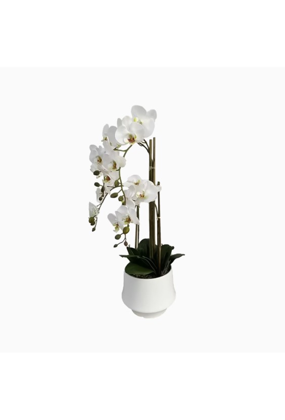 Simulated Phalaenopsis Potted Plant Indoor Decorative Flower