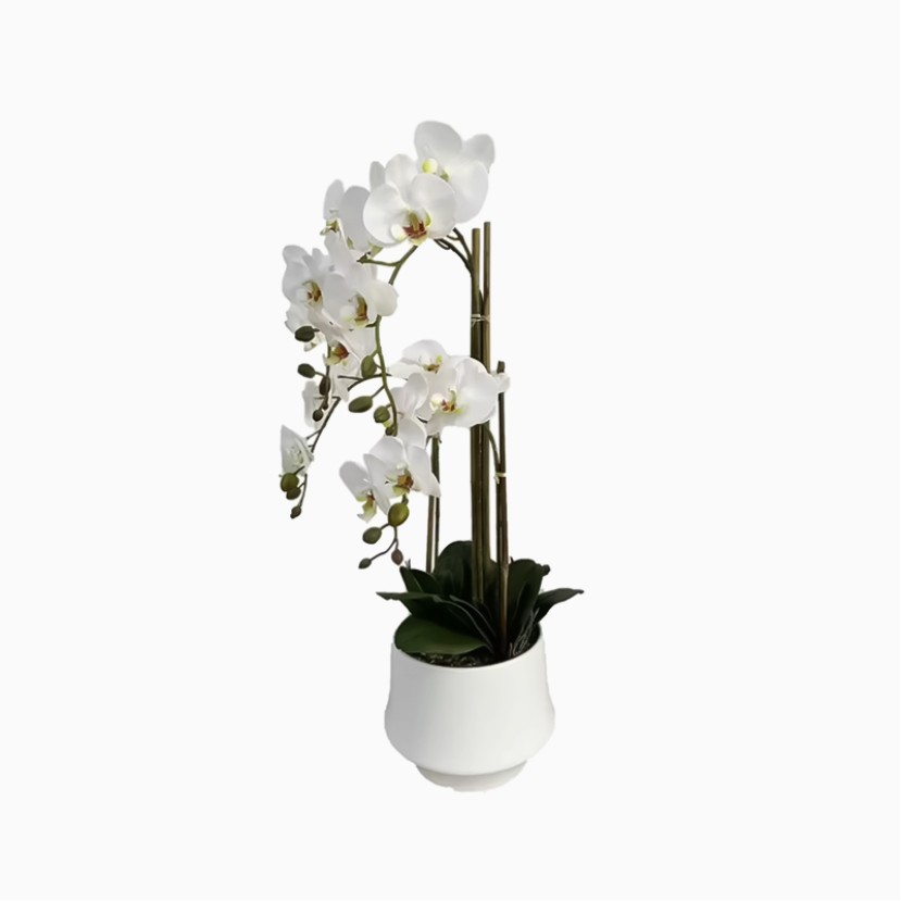 Simulated Phalaenopsis Potted Plant Indoor Decorative Flower