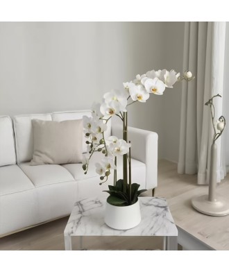 Simulated Phalaenopsis Potted Plant Indoor Decorative Flower