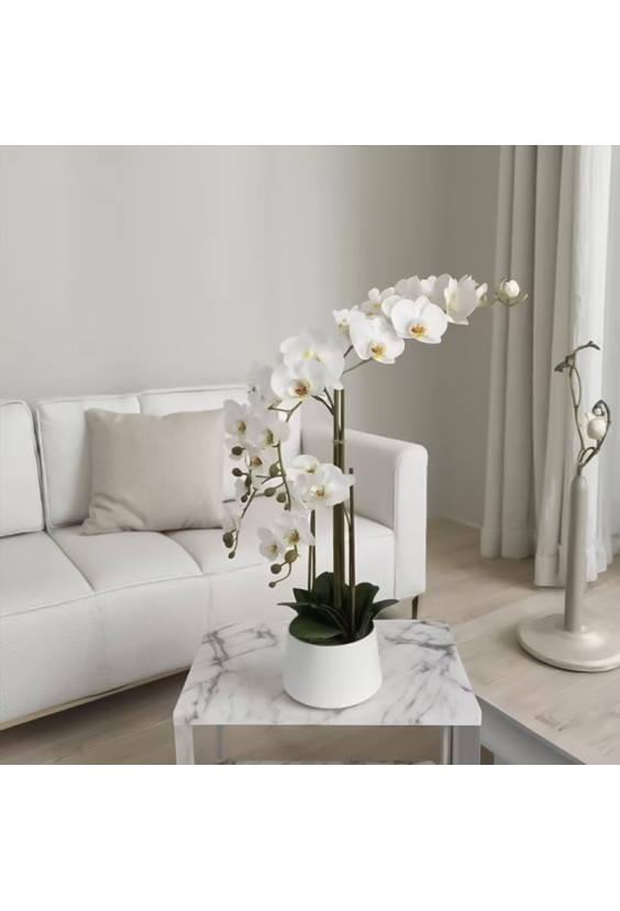 Simulated Phalaenopsis Potted Plant Indoor Decorative Flower