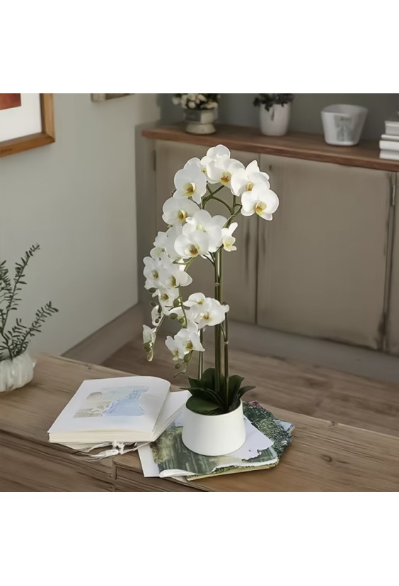 Simulated Phalaenopsis Potted Plant Indoor Decorative Flower