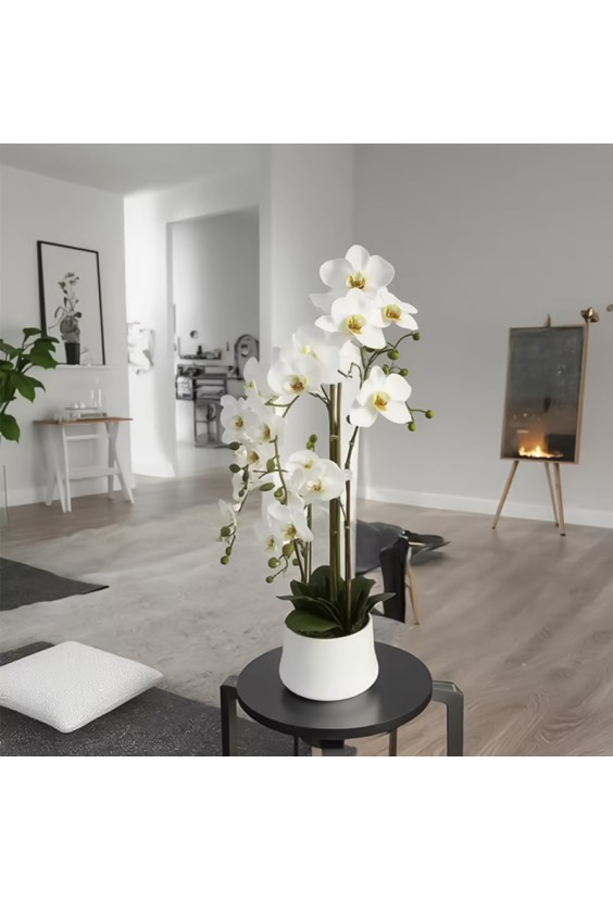 Simulated Phalaenopsis Potted Plant Indoor Decorative Flower