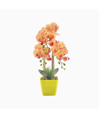 Nordic Style Artificial Phalaenopsis Bonsai Set