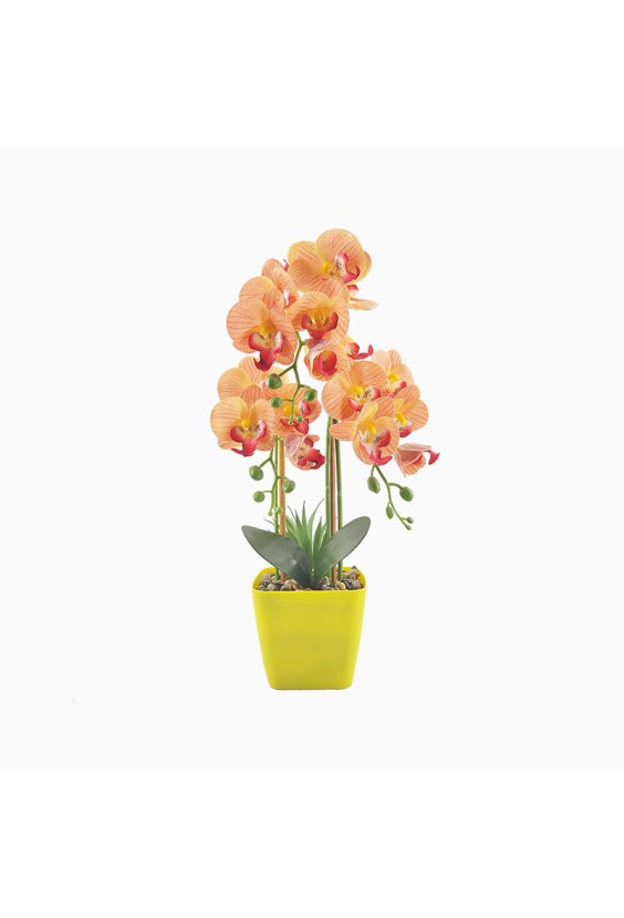 Nordic Style Artificial Phalaenopsis Bonsai Set