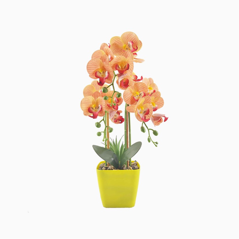 Nordic Style Artificial Phalaenopsis Bonsai Set