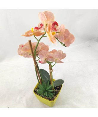 Nordic Style Artificial Phalaenopsis Bonsai Set
