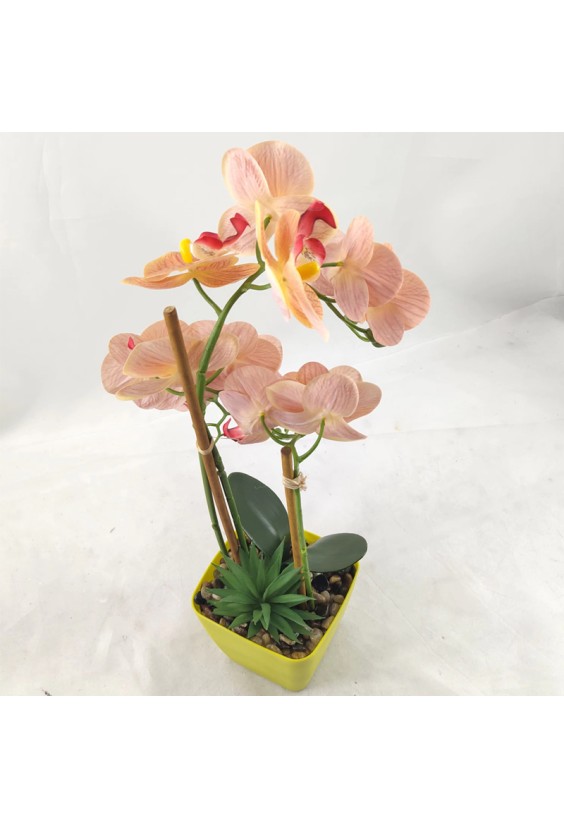 Nordic Style Artificial Phalaenopsis Bonsai Set