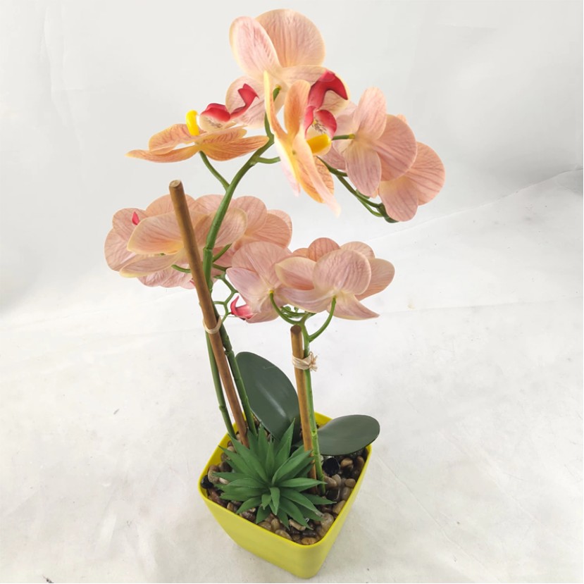 Nordic Style Artificial Phalaenopsis Bonsai Set