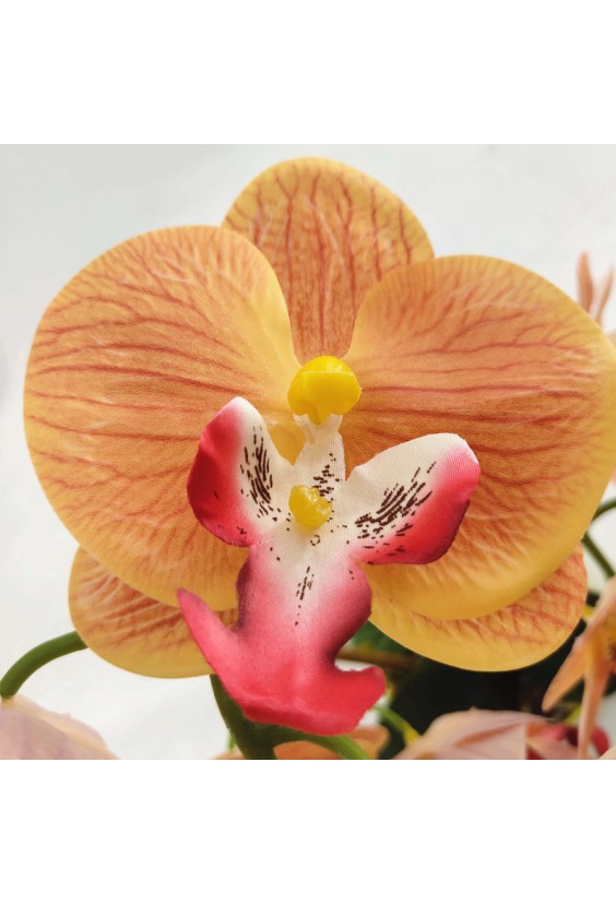 Nordic Style Artificial Phalaenopsis Bonsai Set