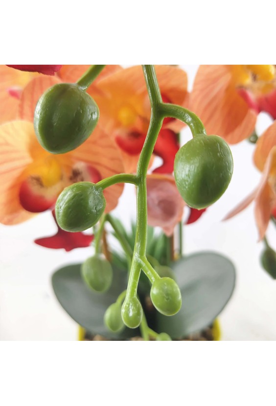 Nordic Style Artificial Phalaenopsis Bonsai Set