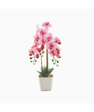 Simulated Phalaenopsis Mini Potted Plant
