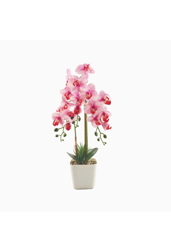 Simulated Phalaenopsis Mini Potted Plant