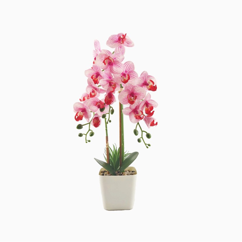 Simulated Phalaenopsis Mini Potted Plant