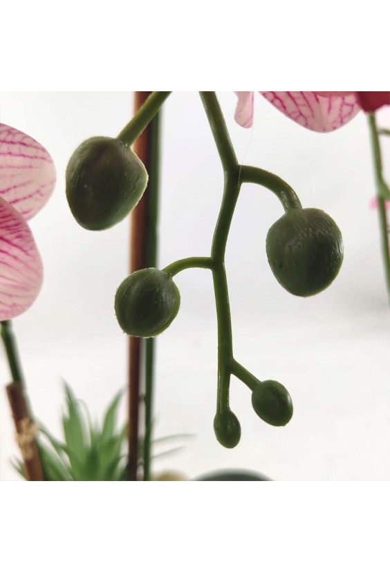 Simulated Phalaenopsis Mini Potted Plant