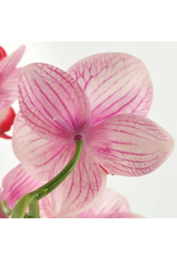 Simulated Phalaenopsis Mini Potted Plant