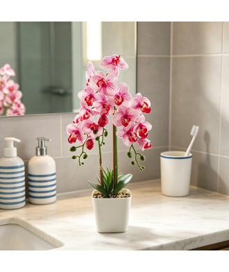 Simulated Phalaenopsis Mini Potted Plant