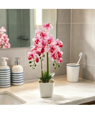 Simulated Phalaenopsis Mini Potted Plant